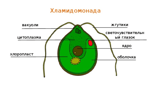 Решение рисунок 1