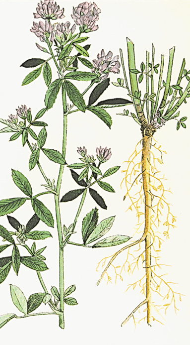 Решение рисунок 4