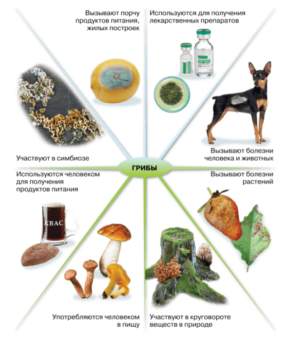 Решение рисунок 2