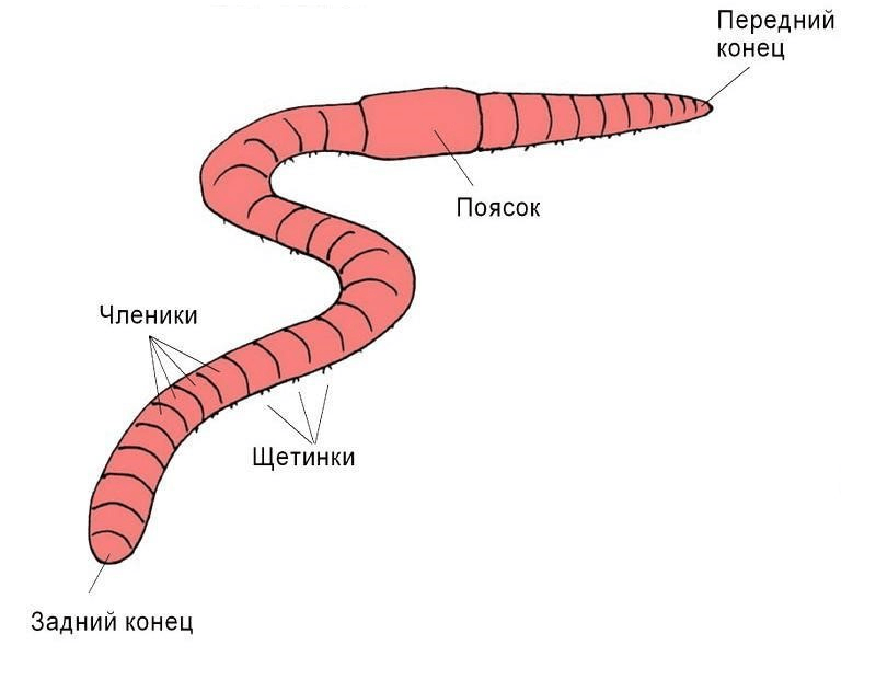 Решение рисунок 1