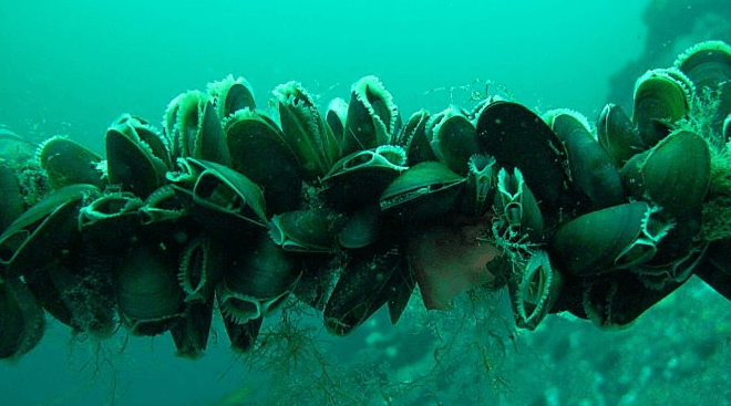 Решение рисунок 1